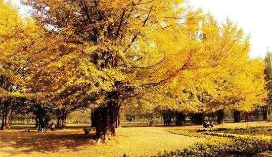 股市心得和炒股的5个要点,股市大a调整方法