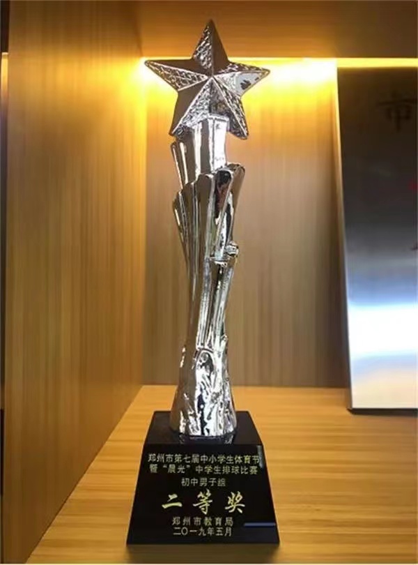 喜报我校喜获多项市级荣誉,喜报学校获殊荣