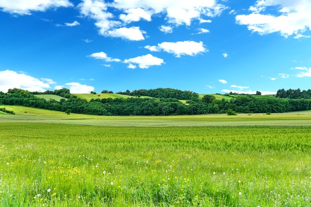 夏天来了带你感受迷人的夏日风光,夏天带你感受迷人的夏日风光