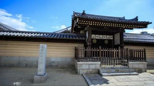 日本的幕府政治制度模式,日本幕府统治危机原因