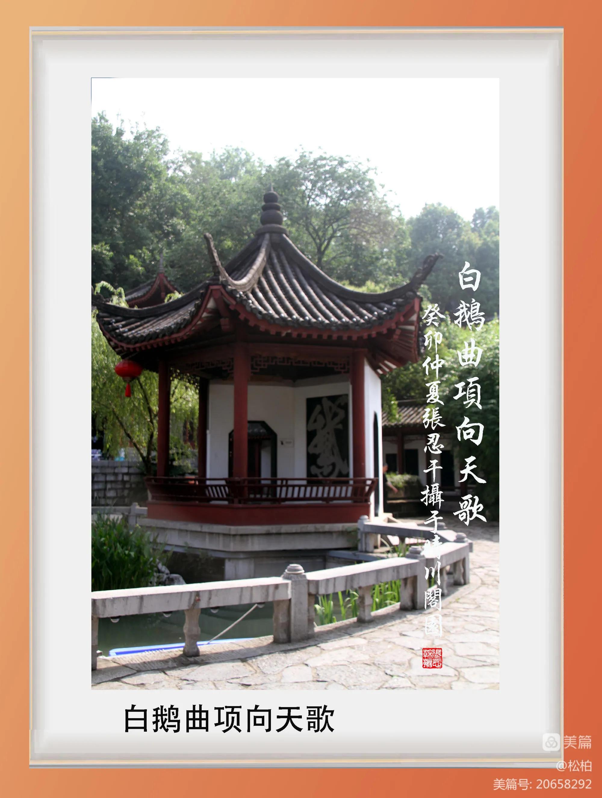 诗图战友情（九十）黄鹤楼抒怀