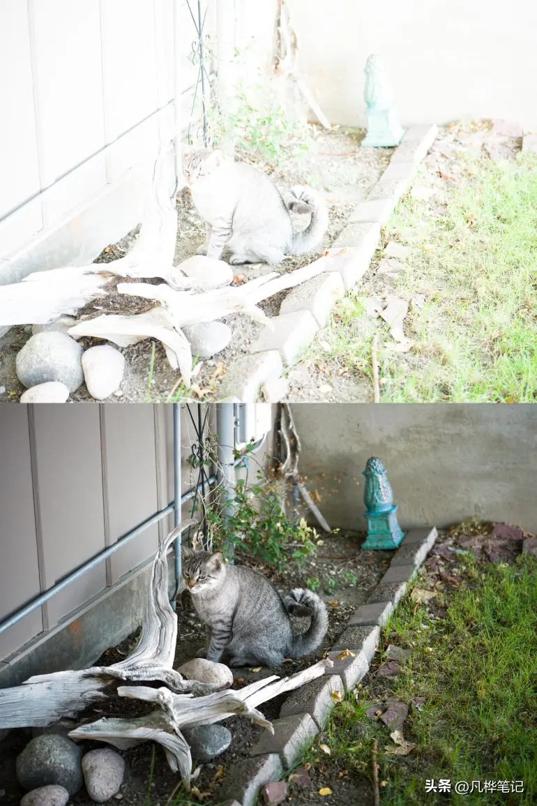 哈苏x2d100c视频,哈苏x2d100c与50c区别