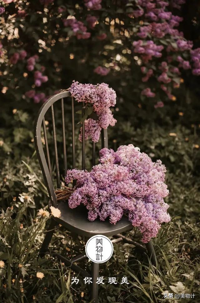 五月暮春的诗句,五月暮春四月仲春