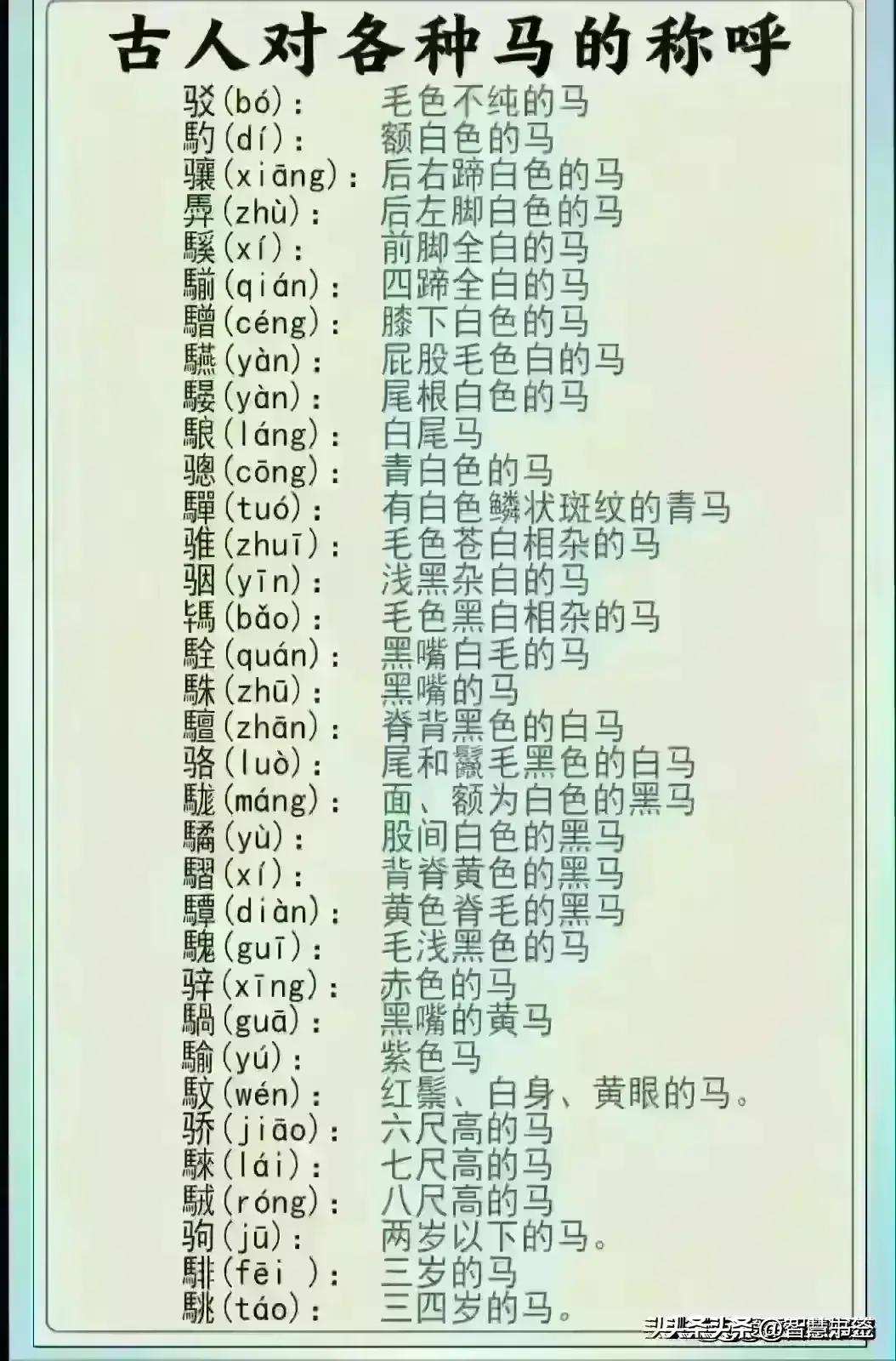 今日金价2024黄金价目表,2024金价走势分析黄金还会降价吗