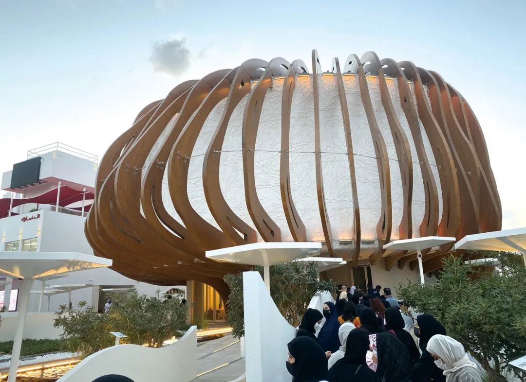 迪拜世博会中国馆复兴号,迪拜世博会彩绘飞机