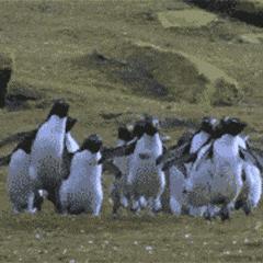 找个可以帮我做担保的人,有没有专门帮人做担保的