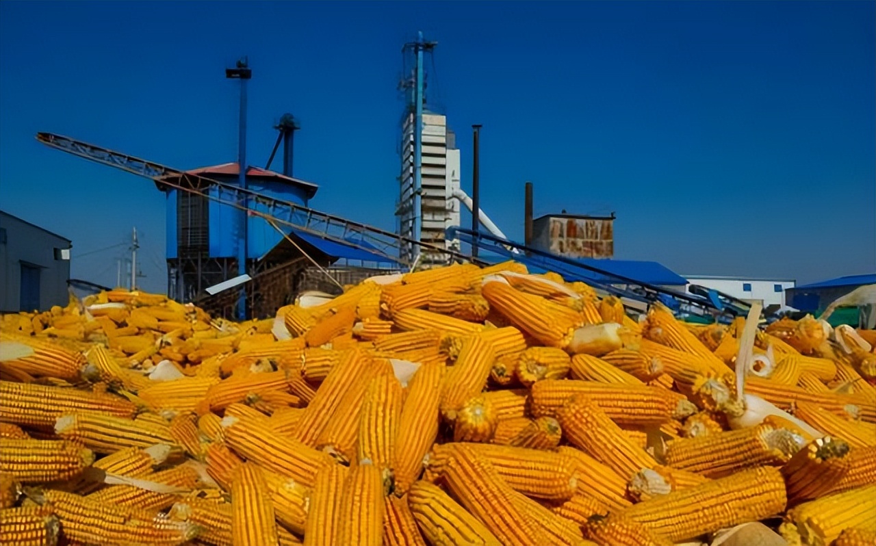 雪上加霜，美国债务尚且还没捋清楚，我国买家三周内取消多笔大单