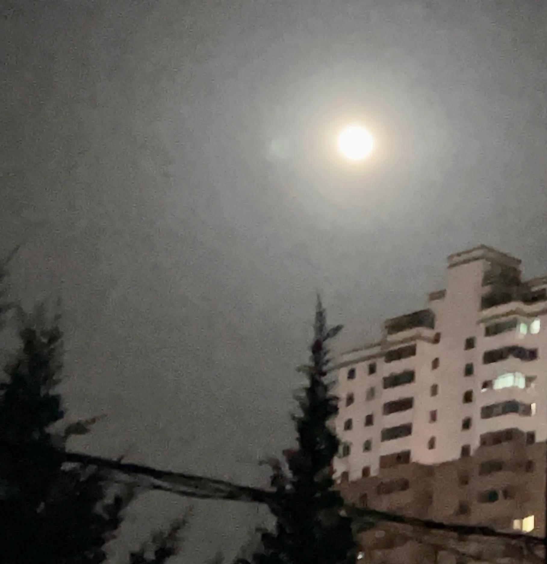 年年春风绿杨柳岁岁春天红春花物是人非看花人岁月沧桑磨煞人元姆