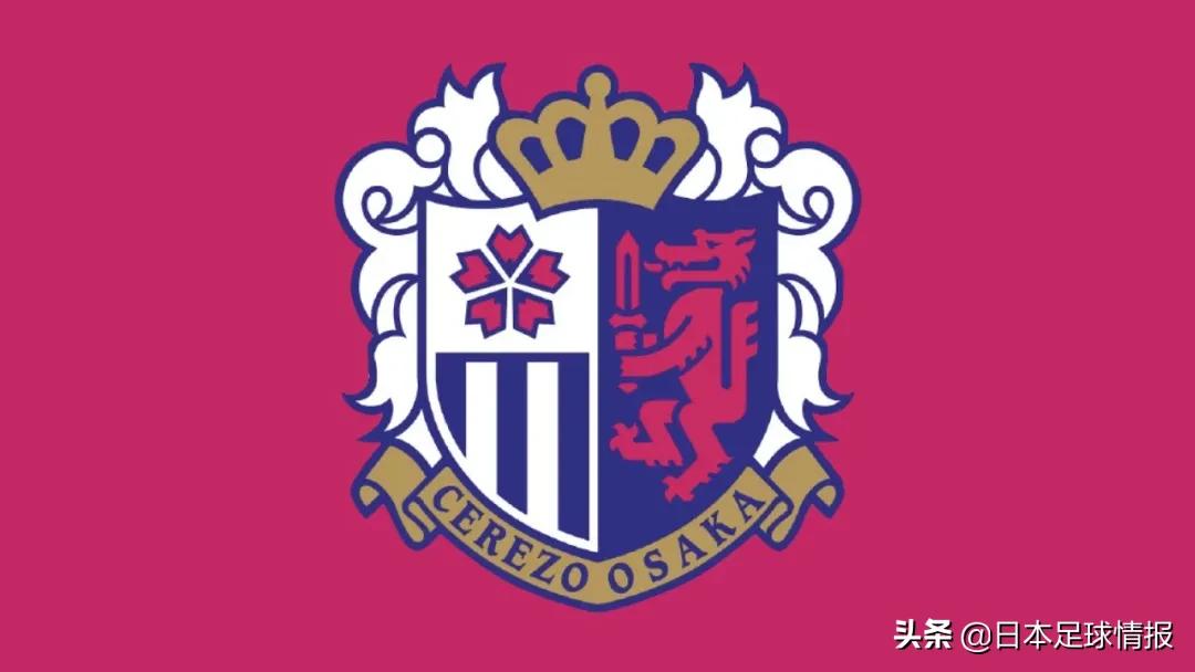 今日日职联大阪樱花预测,2024赛季日职联各队巡礼