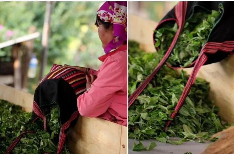 那卡茶是什么味,那卡茶的优缺点