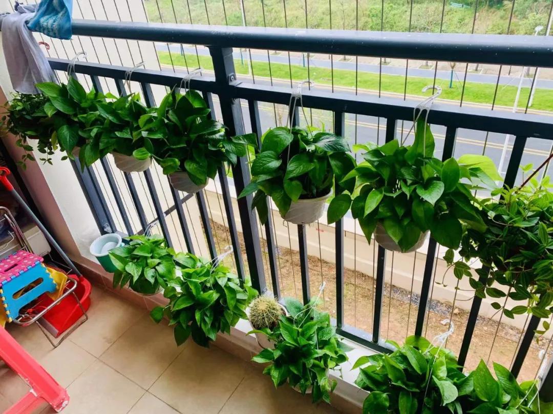 深圳公租房房租每月大概多少钱,深圳公租房减免房租