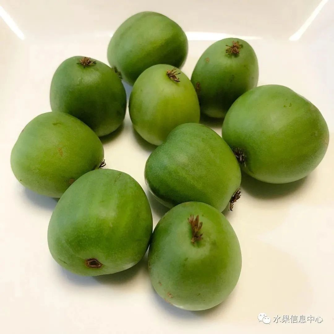 盘点那些迷你的东西,盘点不同样子的水果