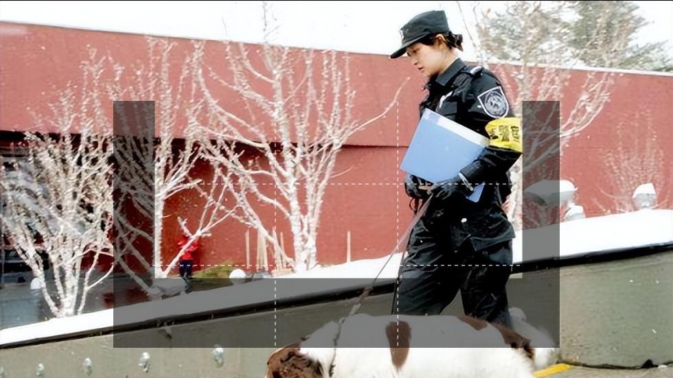 史宾格有什么特点,史宾格优点和缺点