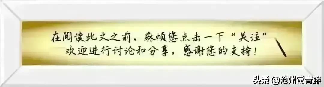 乒联最新排名国乒两将稳占榜首,国际乒联公布孙颖莎最新排名