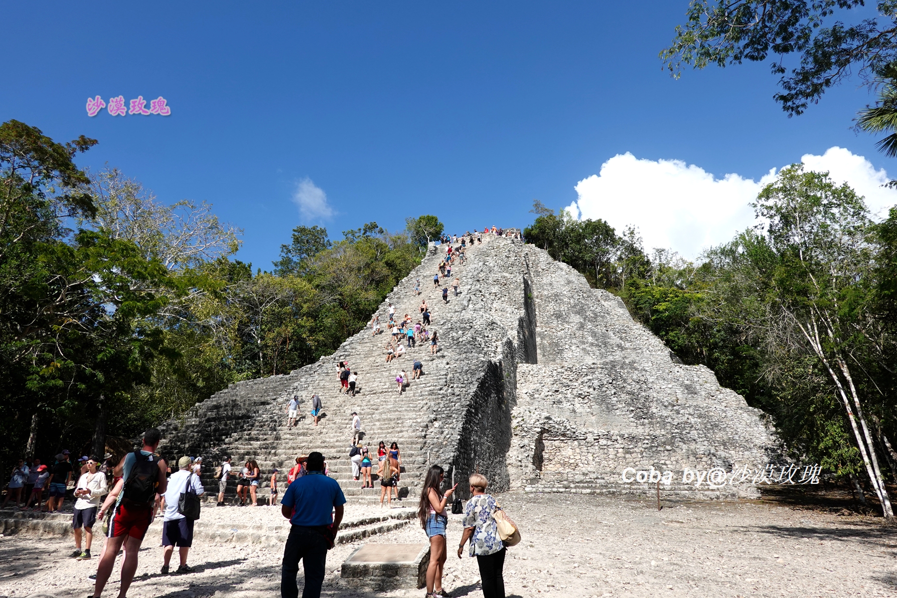 墨西哥足球暴力,墨西哥足球最高赛事