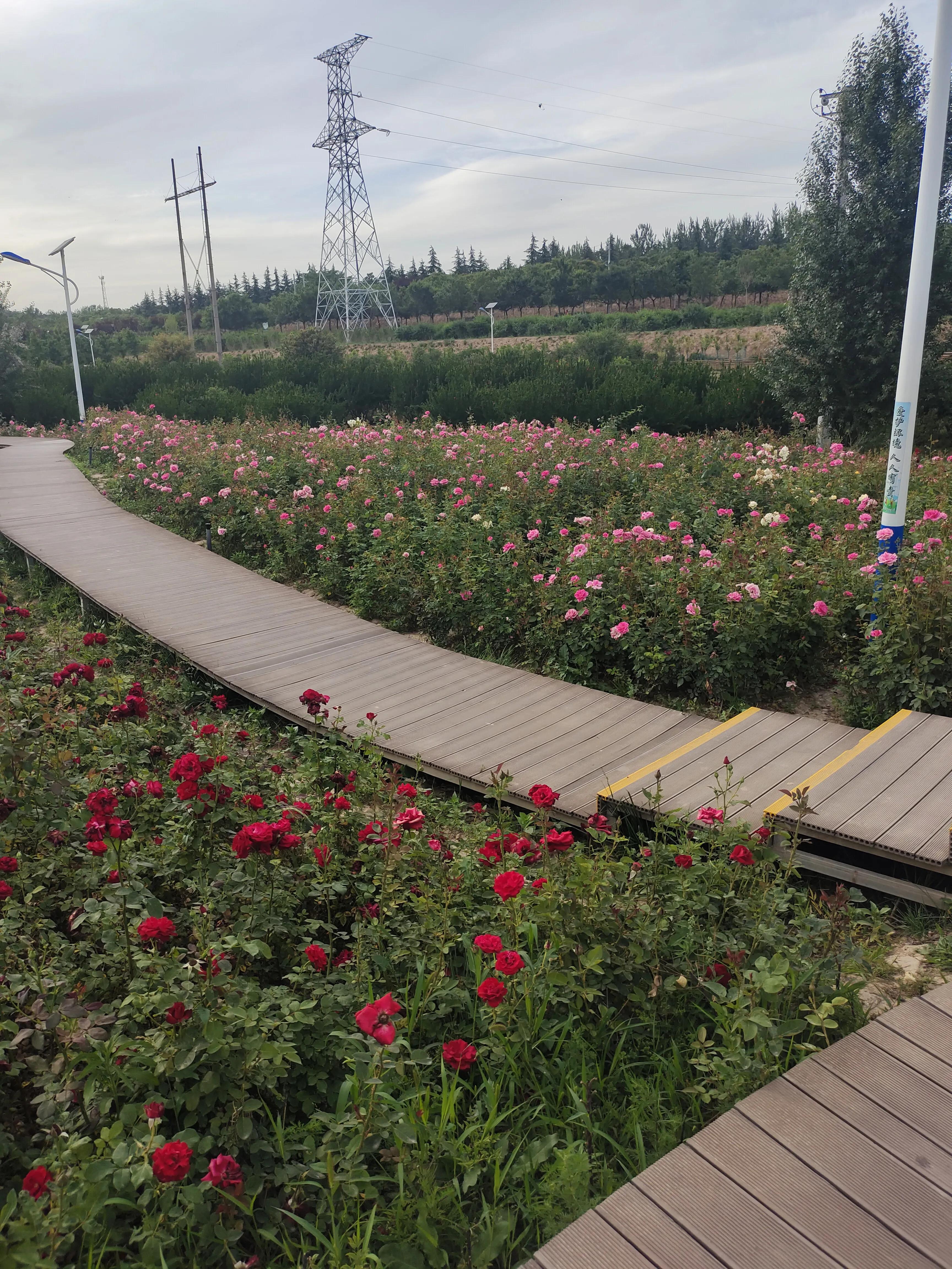 女人为什么不喜欢型男,女人如果不喜欢你会有哪些表现