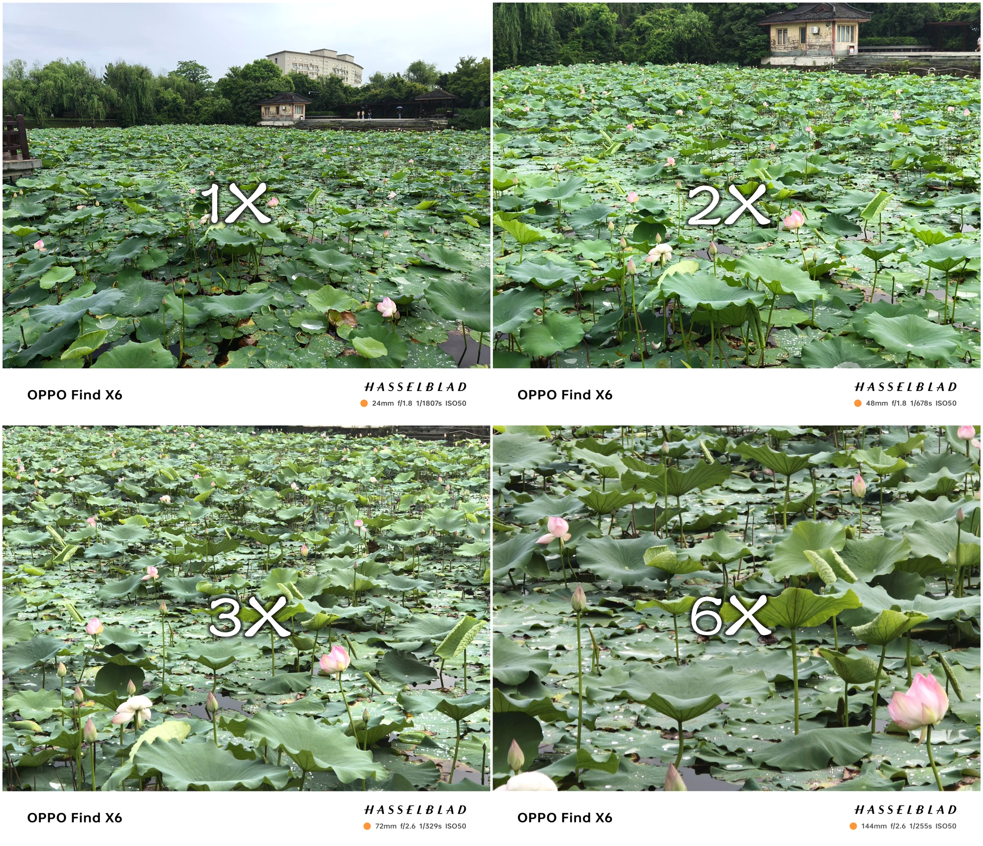 oppofindx6pro真实的拍照体验,oppofindx6pro拍照极致的体验