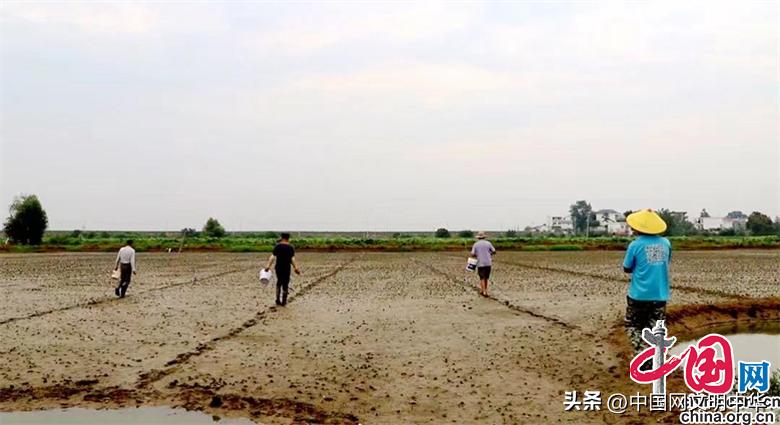 农业种植致富奔小康,特色种植助力农民致富行动