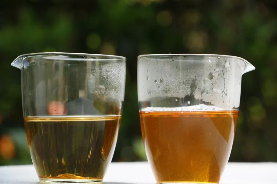 史上最全的茶叶养生知识是什么呢,茶叶真的有养生效果吗