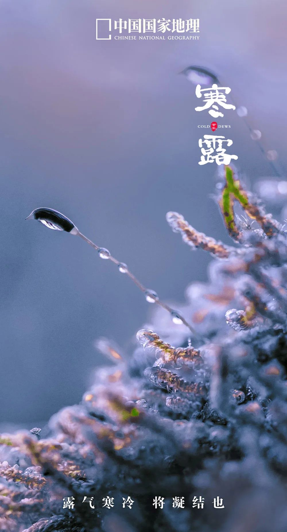 365天最美24节气图诞生惊艳国人,这组24节气图太美了