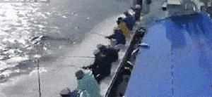 神回复：老鼠贴粘到的，吃了不会犯法吧？网友：自首，争取死缓