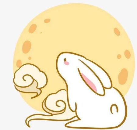 印度月球车飞行了多久到达月球,印度月船三号月球车