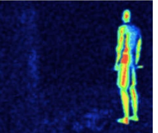 96年海南巨蟒为报恩甘愿当保姆,巨蟒为报恩守护十几年