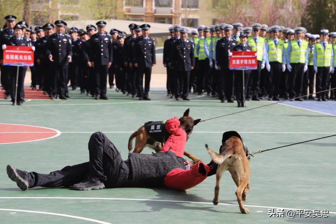 新疆公安警体运动会,博州公安警体运动会