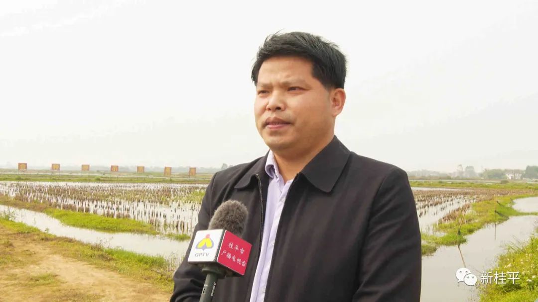 桂平：生态小龙虾错峰养殖助力乡村振兴