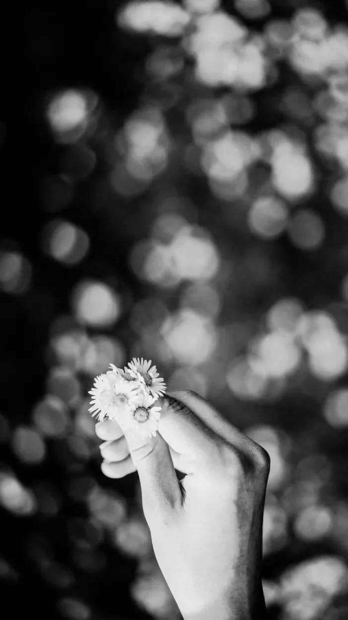 花朵黑白手绘图,黑白图片花朵