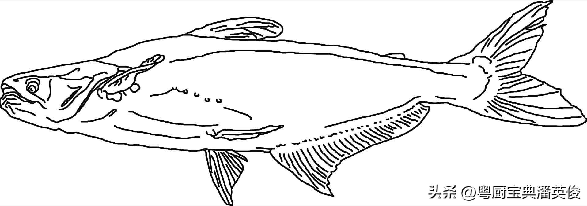 食材知识学习,食材知识视频教程