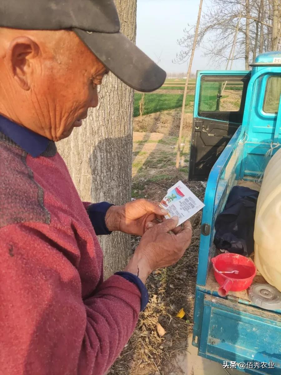 鍐滆嵂浠锋牸鏆磋穼,鍐滆嵂浠锋牸鎸佺画涓嬭穼