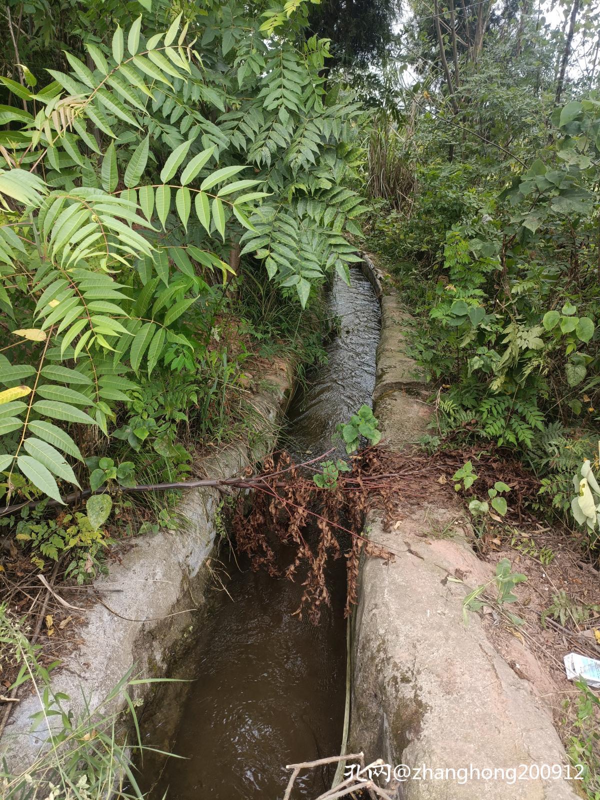 谈谈凶宅：在德，不仅是宅