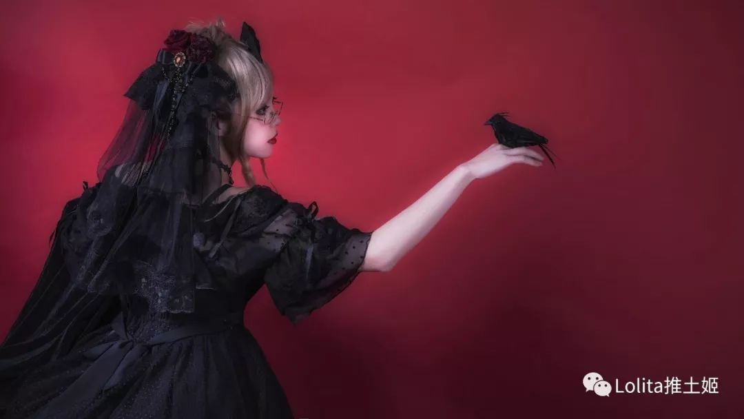 洛丽塔简介，小白狼的专属哦