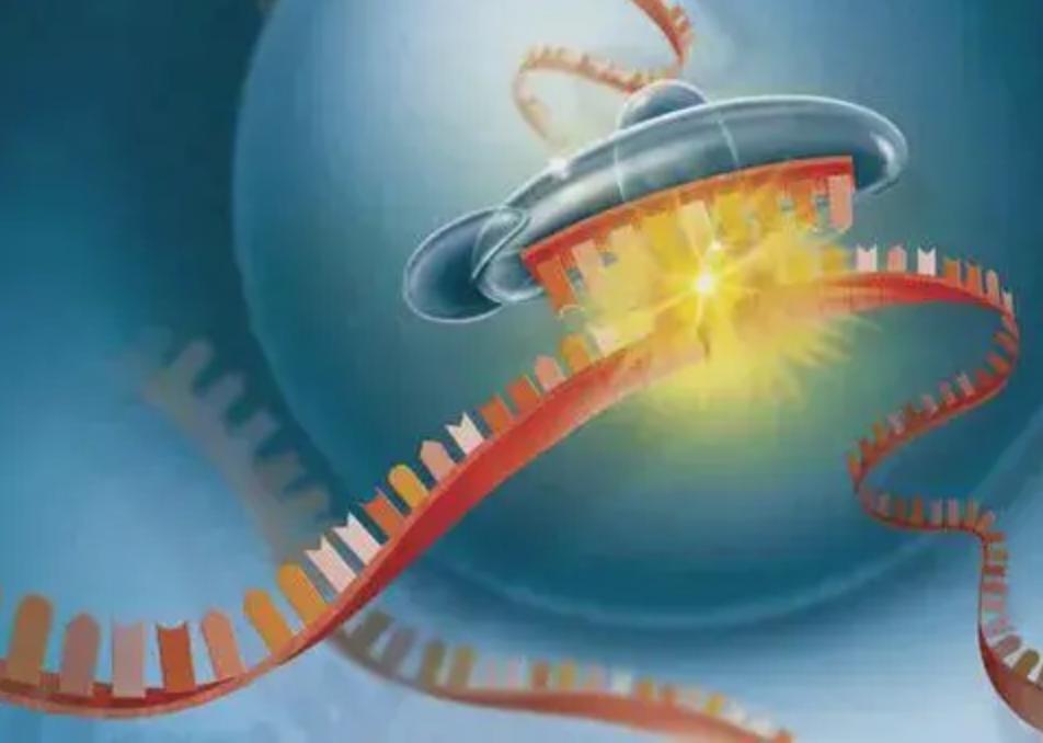 乙肝在研新药JNJ-3989，2b期联JNJ-6379或核苷，REEF-1数据公布