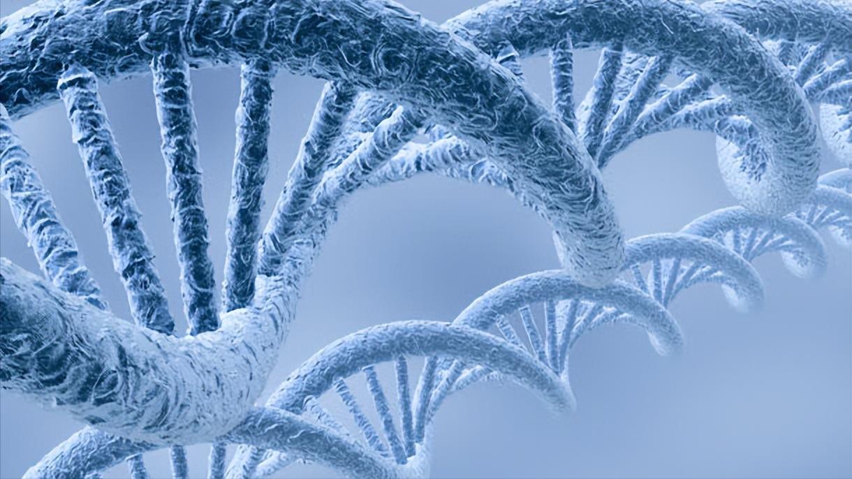 女孩月经初潮的年龄是多少,女孩来初潮的标准