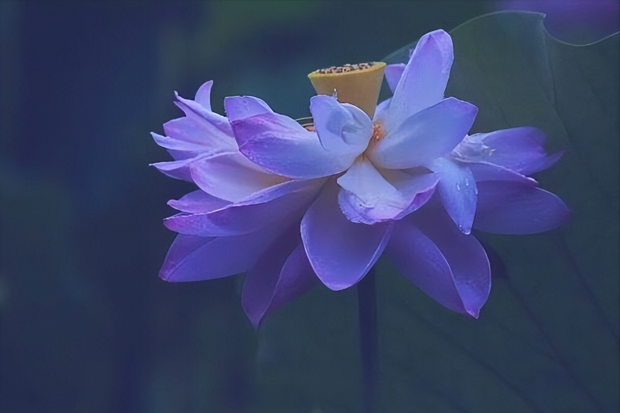 拥有超强直觉能力的三大星座,具有超强洞察能力的星座