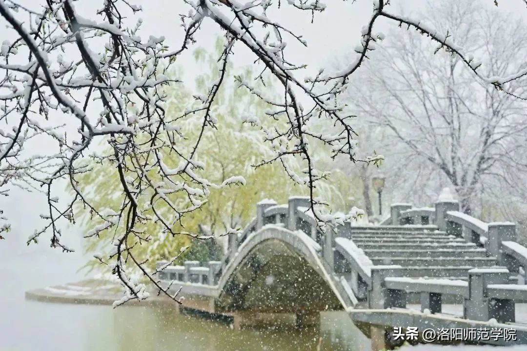 欢迎报考！选择洛师的N个理由