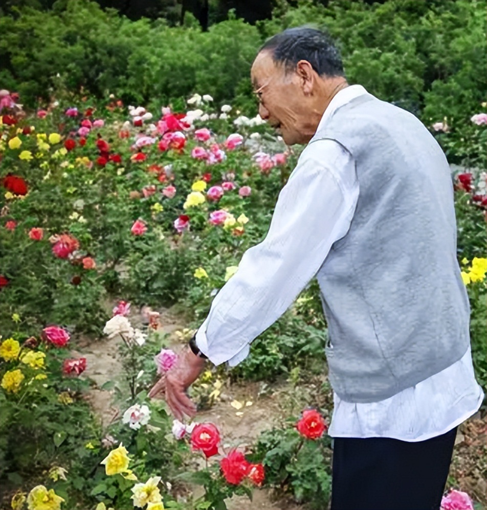 揭秘男性衰老的10大征兆,男性衰老最明显的征兆