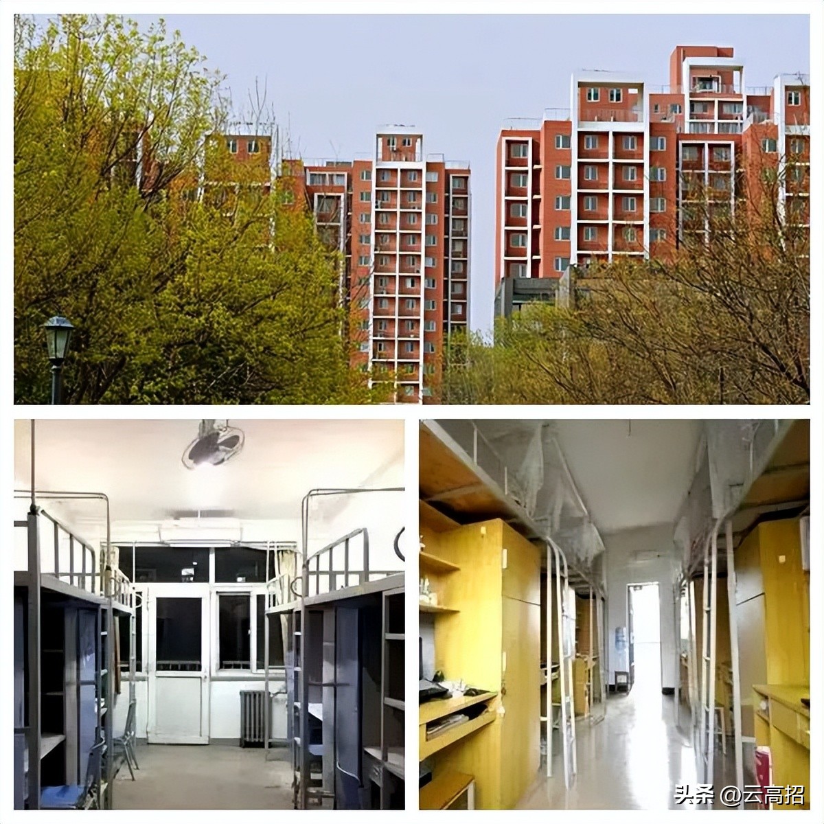 鍝簺澶у鐨勪綇瀹挎潯浠跺ソ,鍚勪釜澶у浣忓鏉′欢