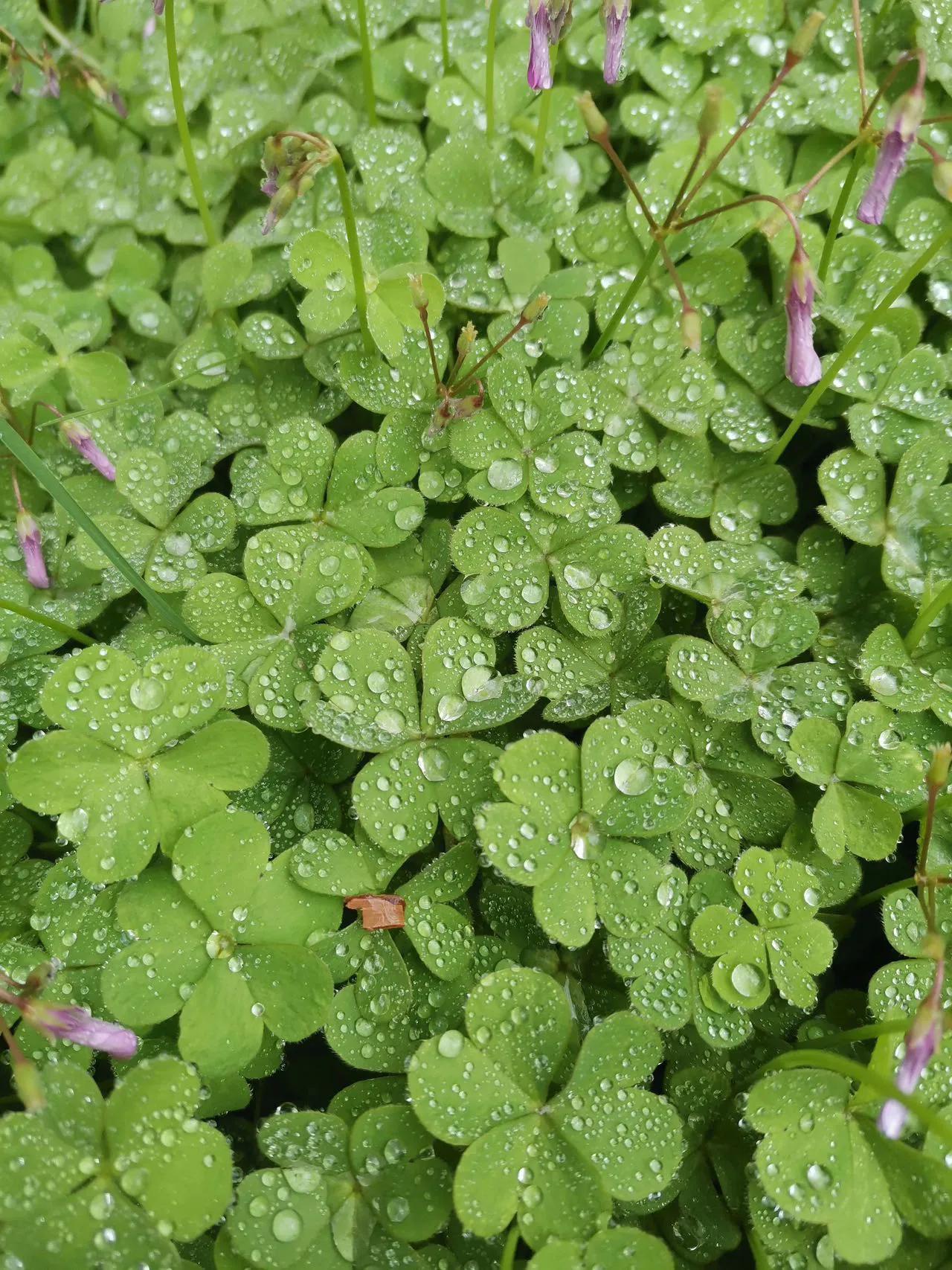 工业互联网大赛,工业互联网平台