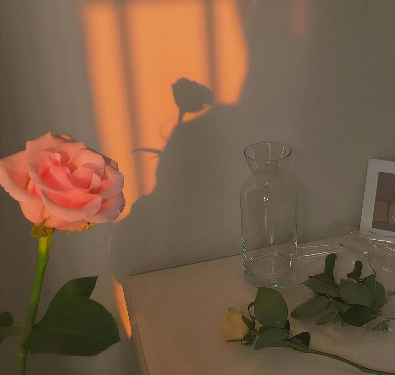 四十岁男人心中的女神,40岁大叔对什么样的女人会心动