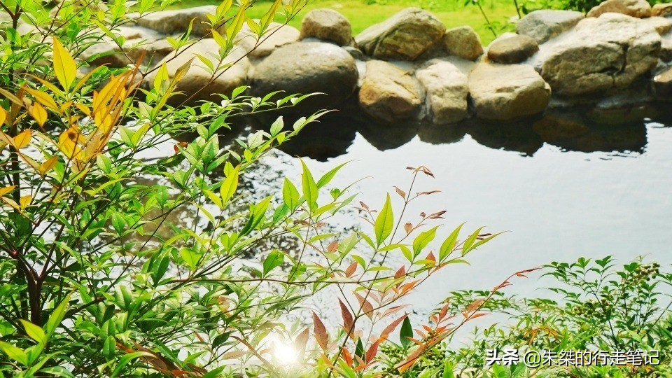 推荐一下泡温泉的地方,泡温泉地方推荐天然温泉5人团