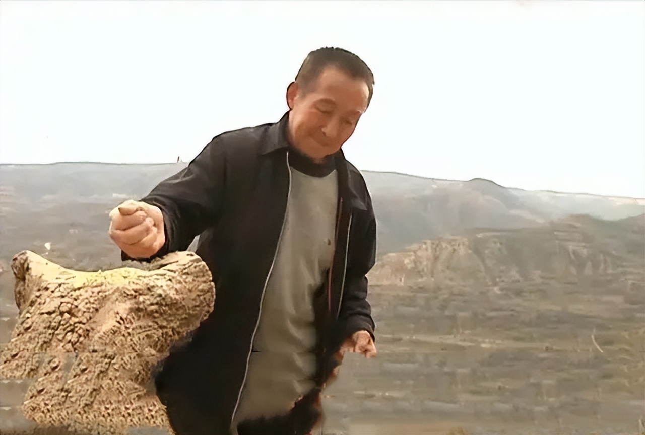 山西老农发现凤凰,山西老农发现2只凤凰精心养4年