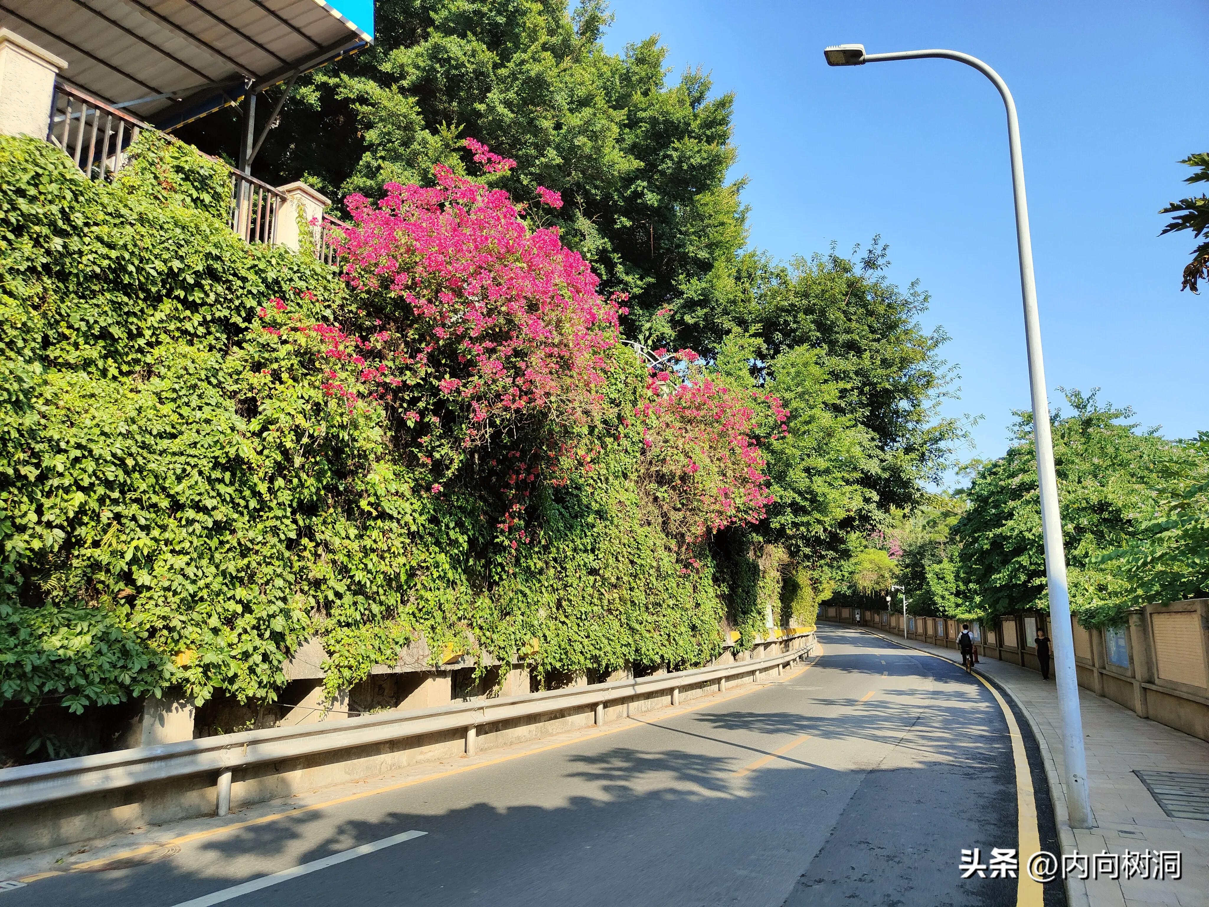 淘金山求水山徒步线路,求水山淘金山绿道在哪里