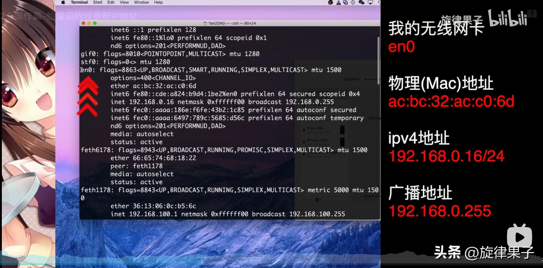 ip地址分配操作,mac地址绑定解决ip冲突