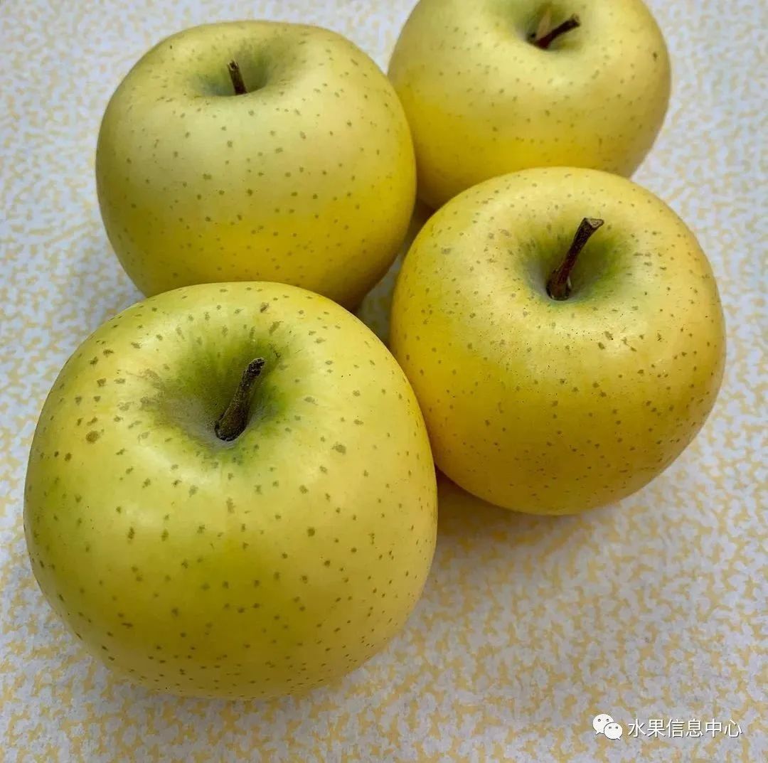 苹果排名第一是哪种苹果,苹果品种好吃排名