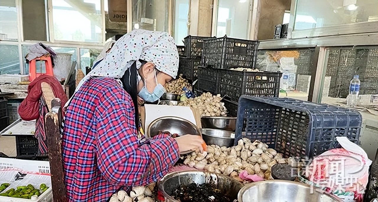 山乡巨变农业发展,山村新巨变