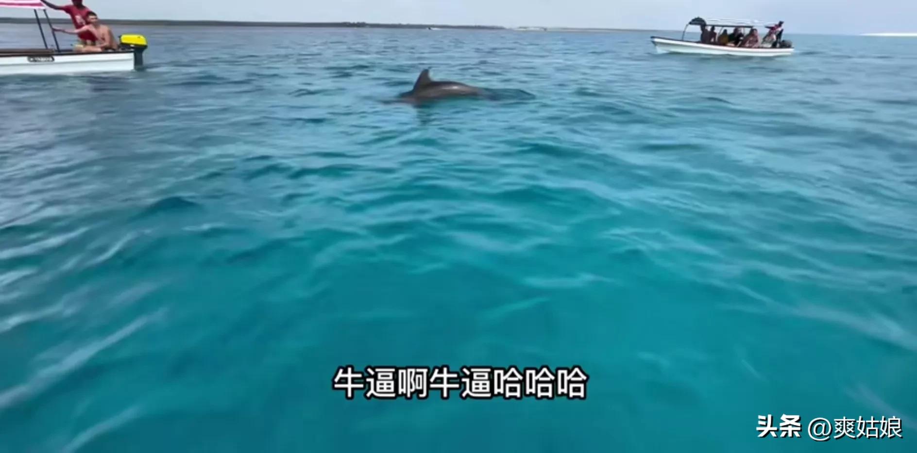 非洲小五带保镖游比尔盖茨买的岛，木头头见泳装美女，直呼太美