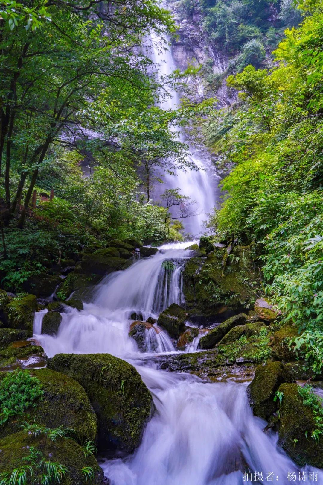 洪雅一个生你养你的地方,洪雅一个养你的地方